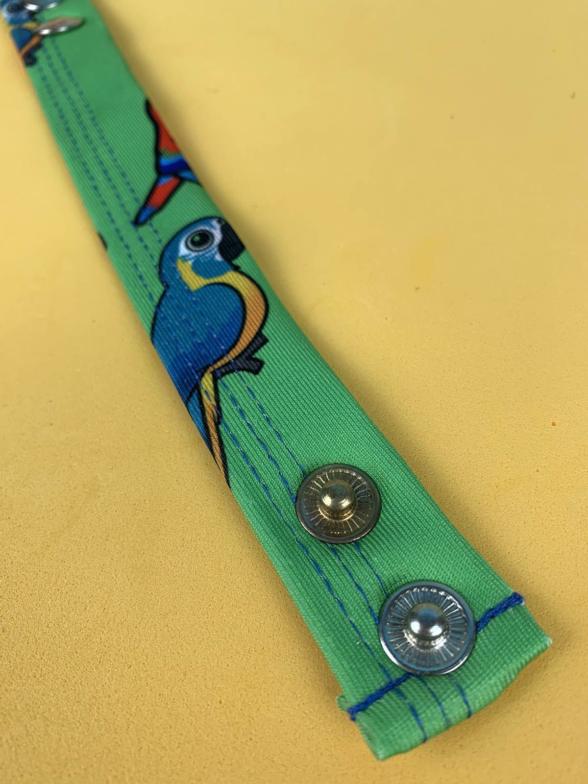 Cockring - Lorito feliz